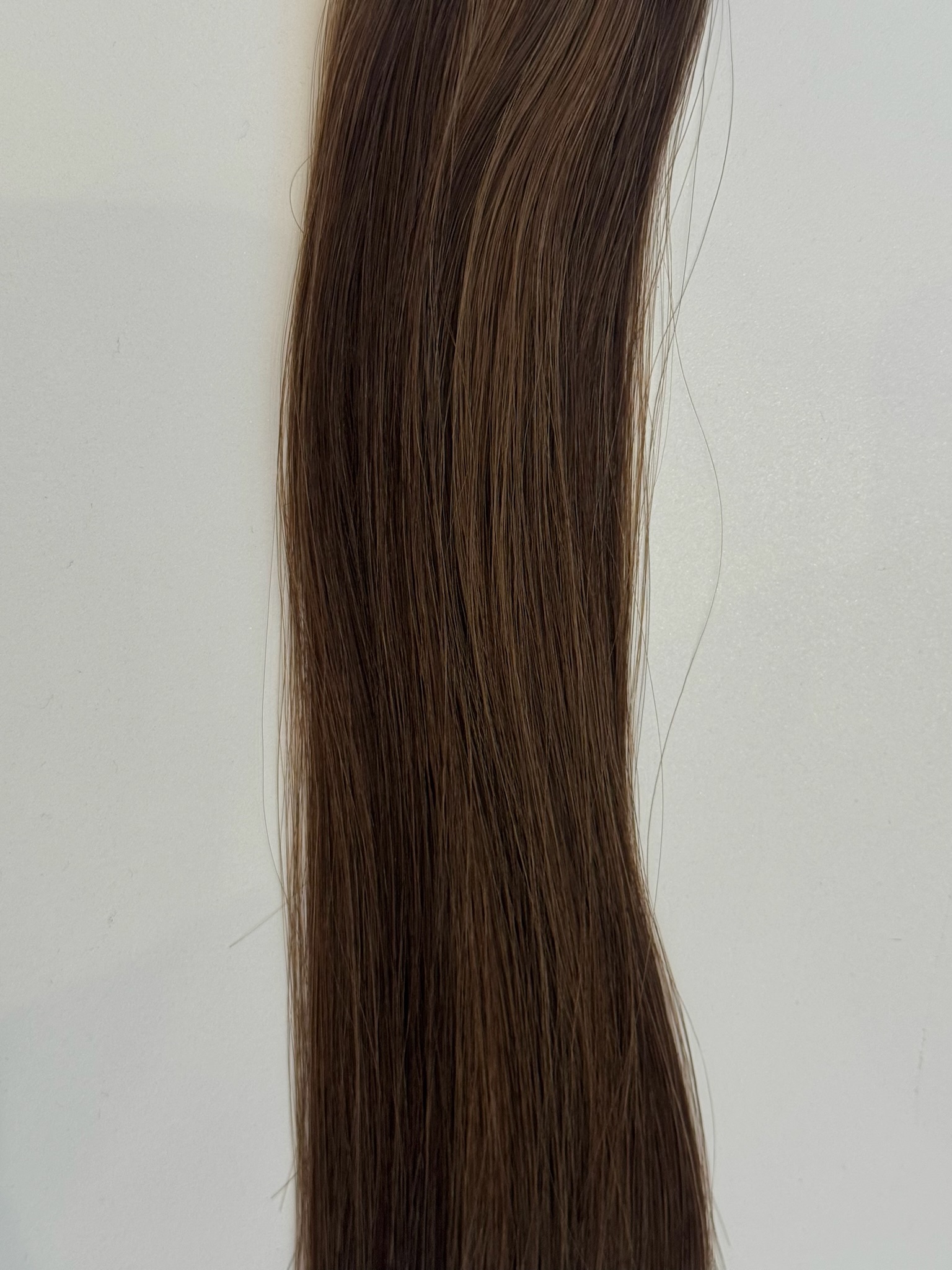 A close-up of Raine, featuring a long, straight lock of brown hair with subtle lighter streaks, set against a plain white background.